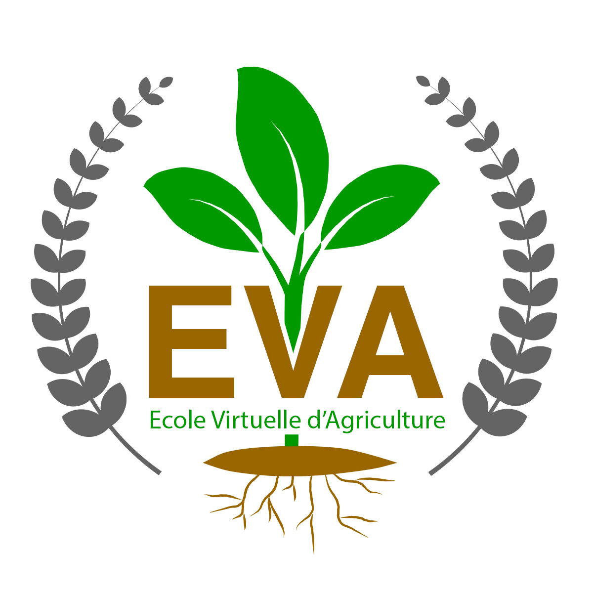Ecole Virtuelle d'Agriculture